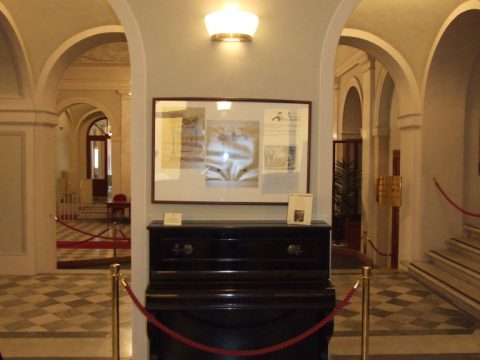 Anteprima dell'immagine