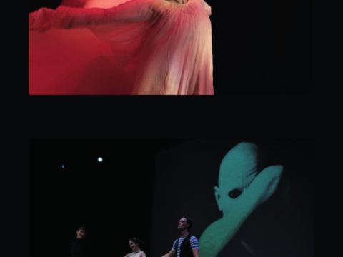 Anteprima dell'immagine