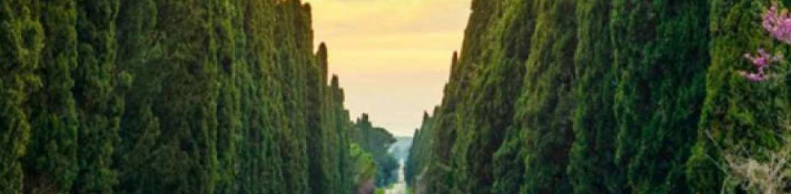 3/8 - Bolgheri: VIAGGIO NELLA LIRICA