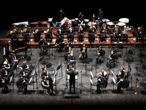 Anteprima dell'immagine