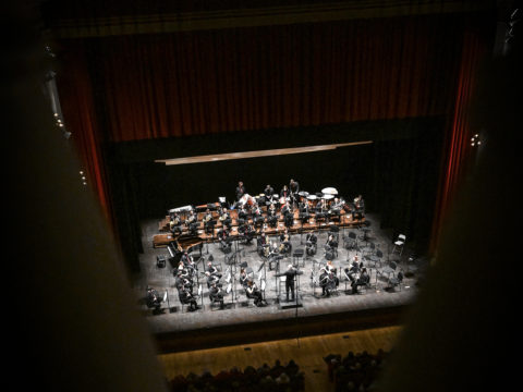 Anteprima dell'immagine