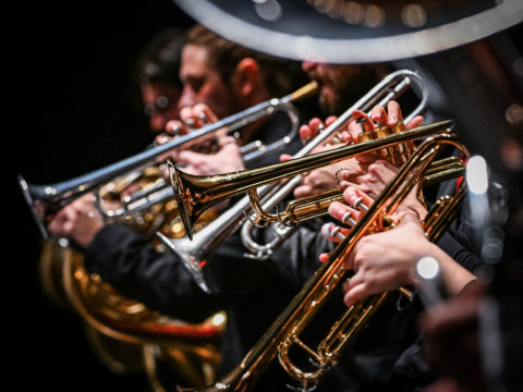 Anteprima dell'immagine