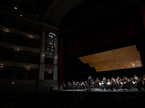 Anteprima dell'immagine