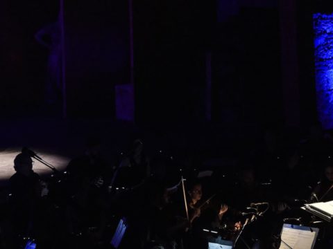 Anteprima dell'immagine