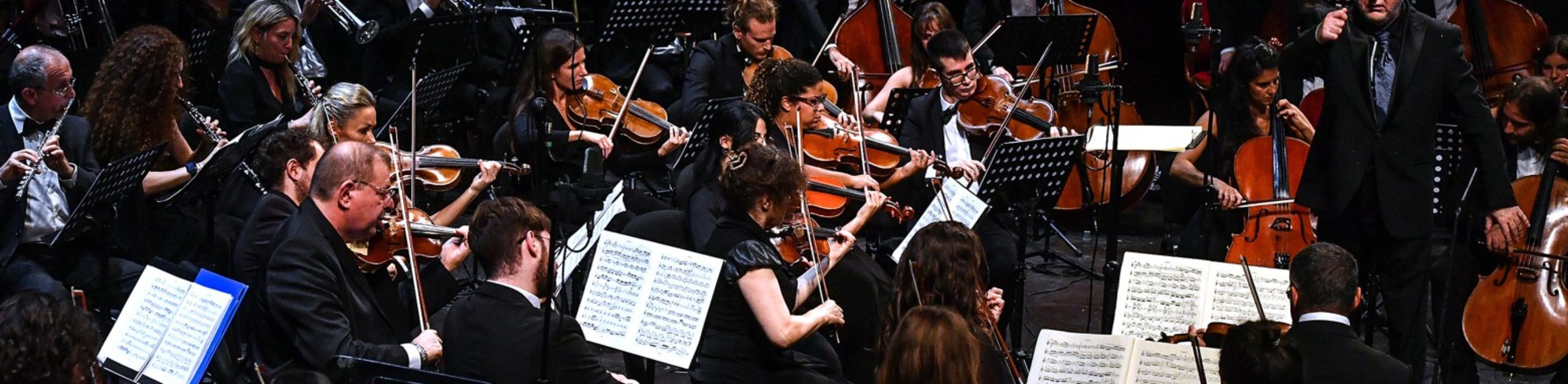 LA TRATTA DEI GIGANTI - STRAUSS 200