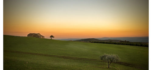 Foto di anteprima dell'evento