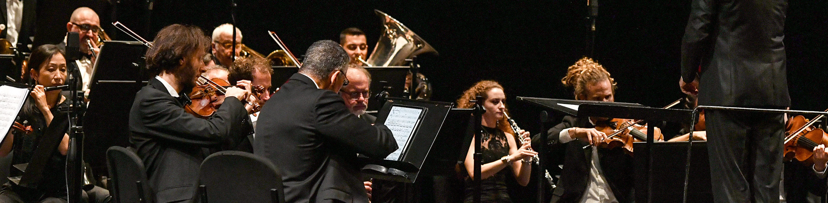 LA TRATTA DEI GIGANTI - STRAUSS 200