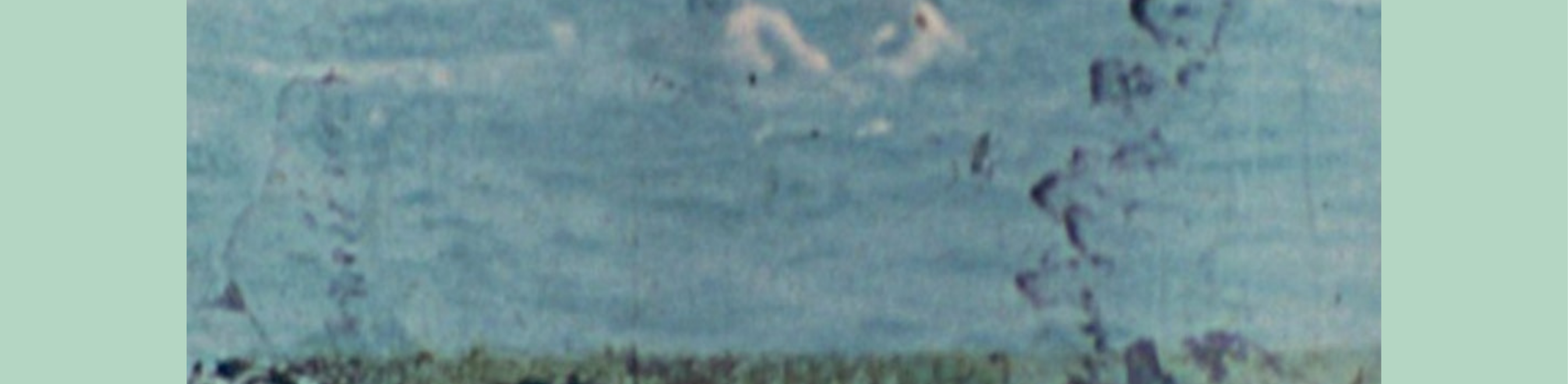 PARTITURE VISUALI #4